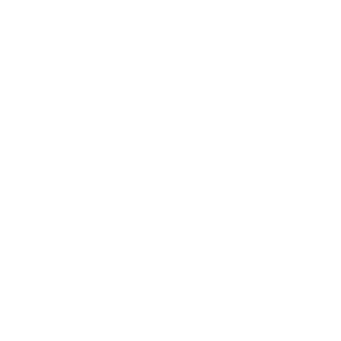 TESTRUN